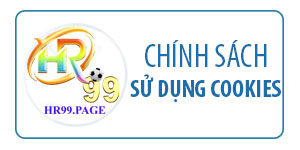 Chính sách cookie HR99