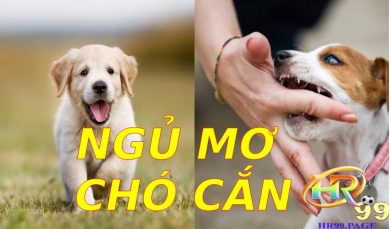 Ngủ mơ chó cắn