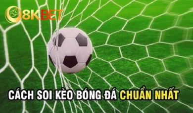 Soi kèo bóng đá đơn giản cho người mới bắt đầu từ cơ bản đến nâng cao