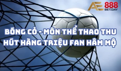 Bóng cỏ - Môn thể thao thu hút hàng triệu fan hâm mộ - AE888